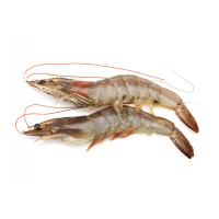 Креветки c головой в панцире с/м 21/25, блок 2 кг Индия