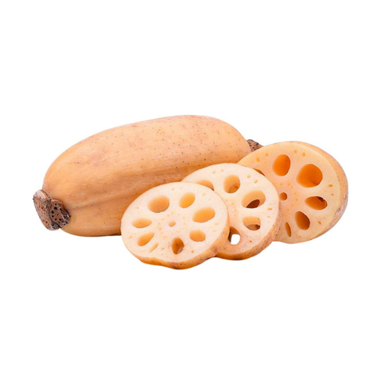 Корень лотоса свежий 100 гр