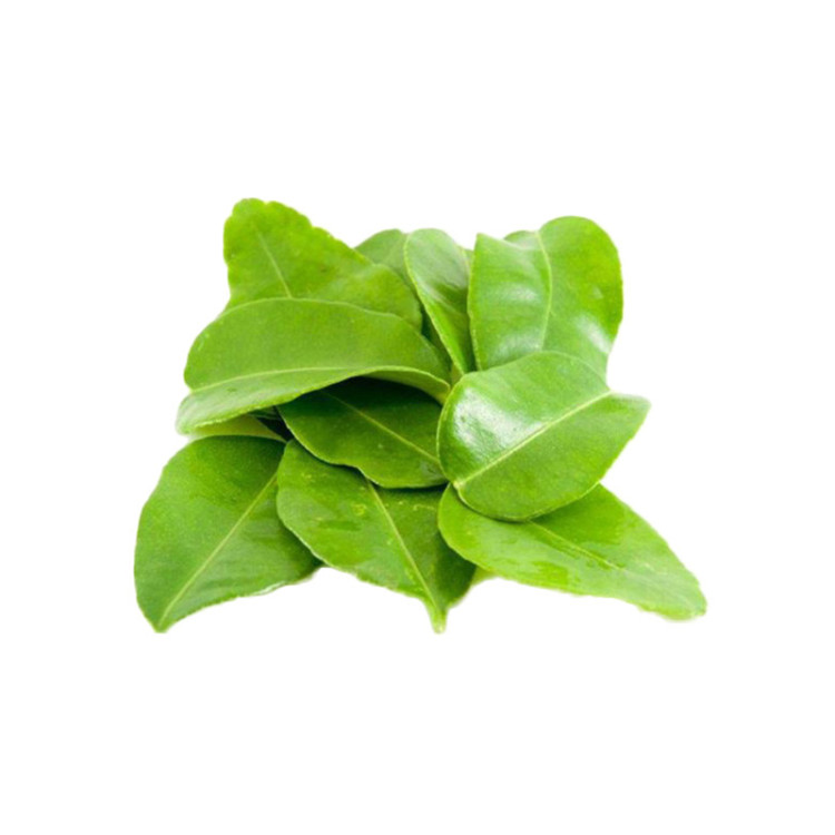 Листья кафрского лайма свежие 1 шт (50 гр)