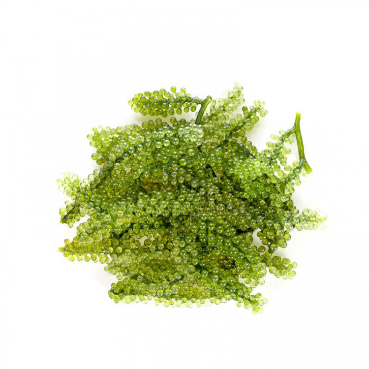 Морской виноград (водоросль Саргассум) Kawaman, 340 гр