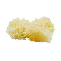 Гриб Ледяной желтый, 100 гр